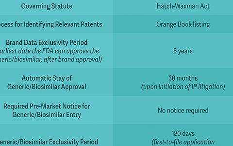 “Similar” but Not the Same: Charting the Course of Biosimilar IP Litigation in the US