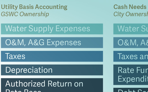 The Economics of Different Ownership Structures for Water Utilities
